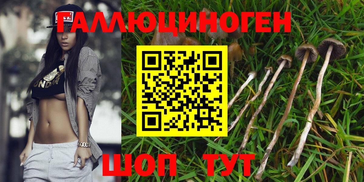 Псилоцибиновые грибы мухоморы Нижнеудинск