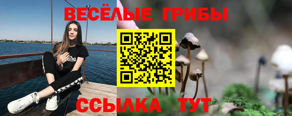 Нижнеудинск  продажа наркотиков  Вход с VPN  Галлюциногенные грибы MAGIC MUSHROOMS 